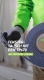 Imagen de Cinta Expansiva para contorno de ventanas de 30mm de ancho ( rollo de 5,30 metros ). Expansión de 6 a 18 mm. ILLBRUCK TP670