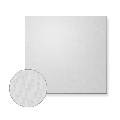 Imagen de 1 Placa vinilica para techo desmontable 60x60