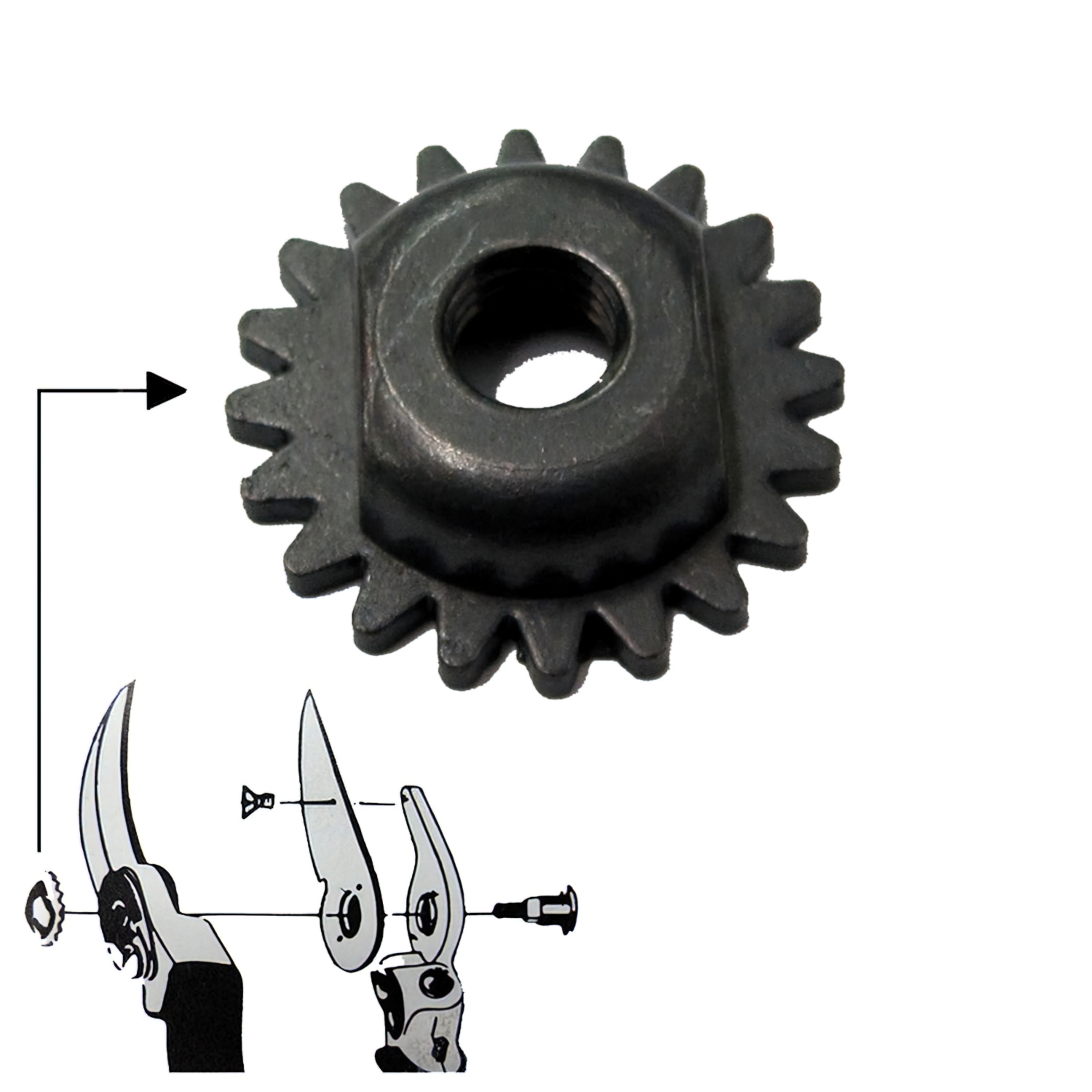 Imagen de Tuerca Recambio Tijera Samurai KS-4T