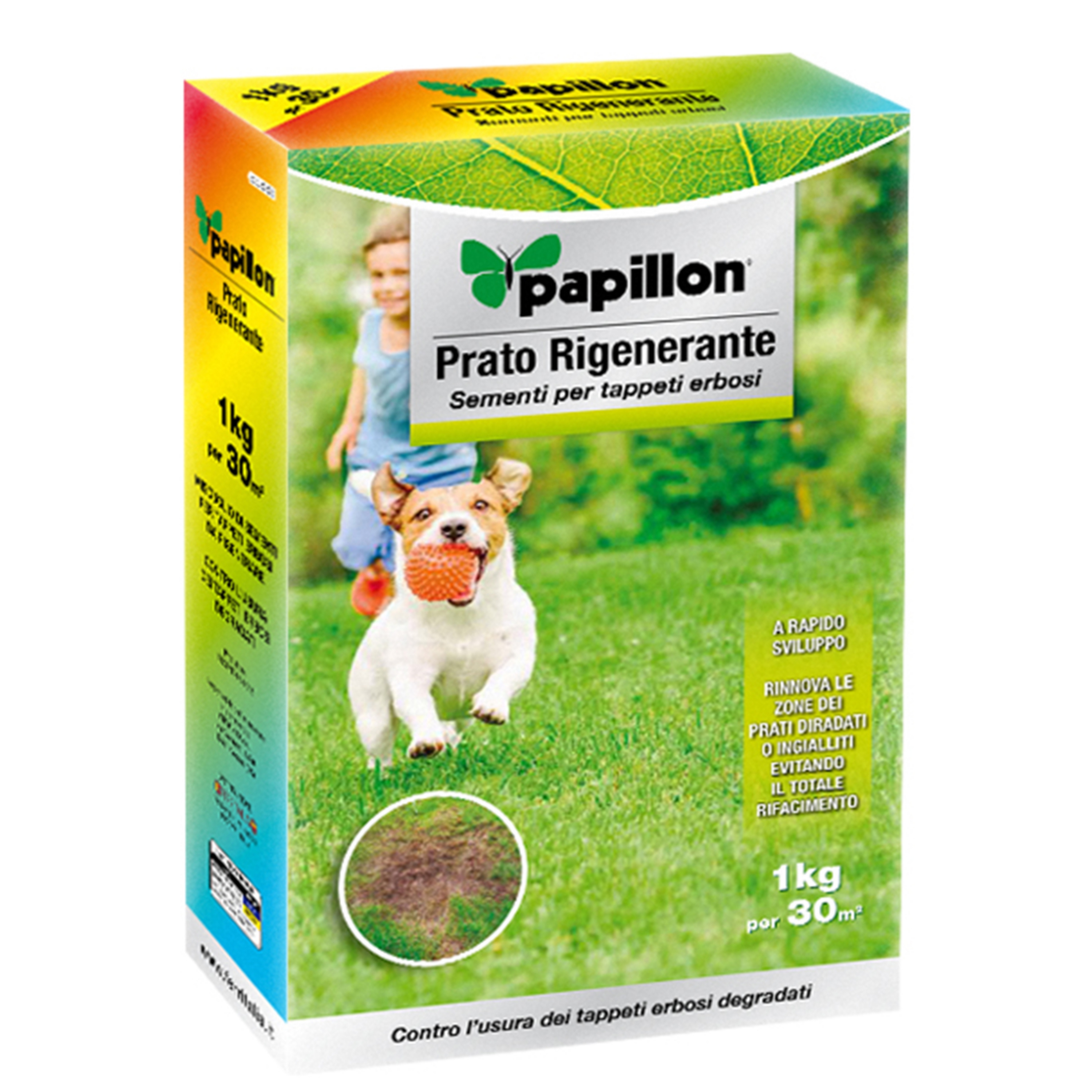 Imagen de Semillas Cesped Repoblador 1 Kg.