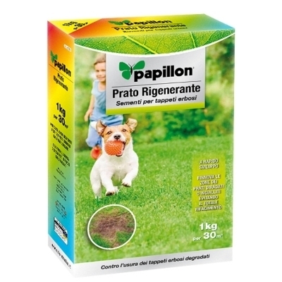 Imagen de Semillas Cesped Repoblador 1 Kg.