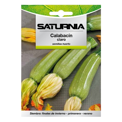 Imagen de Semillas Calabacin Verde Oscuro (5 gramos) Semillas Verduras, Horticultura, Horticola, Semillas Huerto.