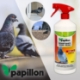 Imagen de Repelente Palomas y Pajaros (750 ml.) Repelente / Ahuyentador aves, repelente pajaros, ahuyentador aves ventanas, tejados, etc.