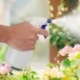 Imagen de Pulverizador Agua 500 ml. Spray Pulverizador Boquilla Ajustable, Botella Spray Liquidos, Pulverizador Jardin,