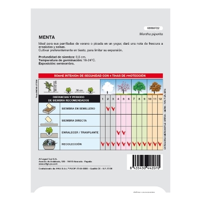 Imagen de Semillas Aromaticas Menta (0.3 gramos) Horticultura, Horticola, Semillas Huerto.